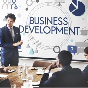 Business development specialist
